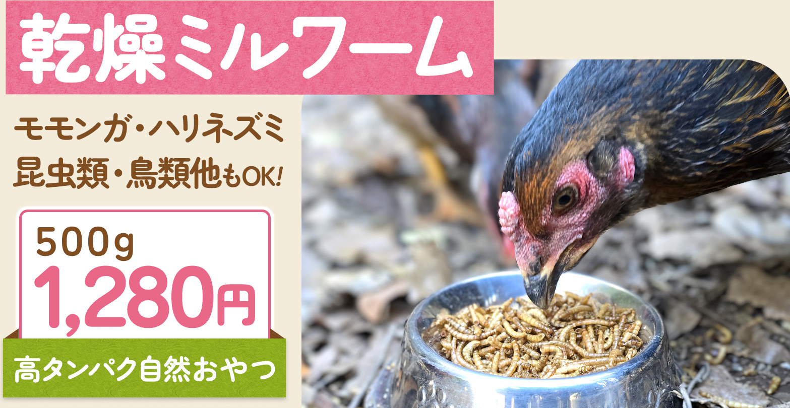 乾燥ミルワーム