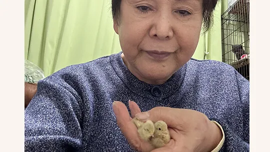 家族