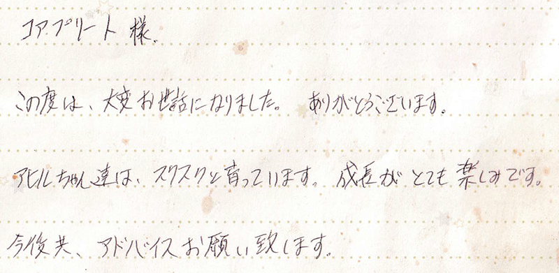 お手紙