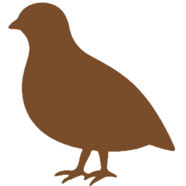 ヒメウズラのアイコン
