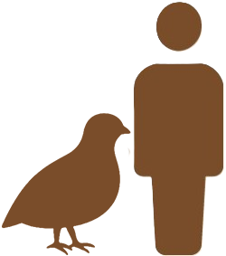人とヒメウズラアイコン