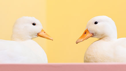 30代女性イラスト