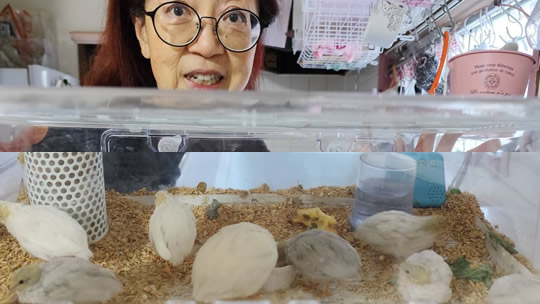 30代女性イラスト